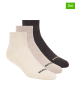 Skechers 3er-Set: Socken in Beige/ Anthrazit
