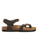 Comfortfusse Leren teensandalen bruin/zwart