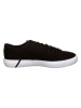 Lacoste Sneakers in Schwarz