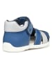 Geox Halbsandalen "Elthan" in Blau/ Weiß