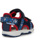 Geox Sandalen "Multy" in Dunkelblau