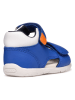 Geox Sandalen "Tapuz" blauw