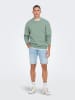 ONLY & SONS Sweatshirt "Eres" in Mint
