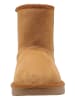 Kangaroos Winterboots "K-UK Soul" in Hellbraun