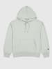 Champion Hoodie in Mint