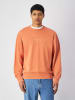 Champion Sweatshirt in Orange