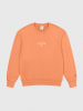 Champion Sweatshirt in Orange