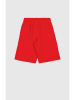 Champion Sweatshorts in Rot