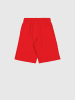 Champion Sweatshorts in Rot