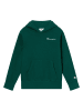 Champion Hoodie in Grün