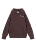 Champion Hoodie bruin