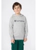 Champion Hoodie in Grau