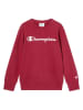 Champion Sweatshirt rood