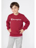 Champion Sweatshirt rood