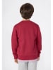 Champion Sweatshirt rood