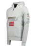 Geographical Norway Bluza "Gymclass" w kolorze szarym