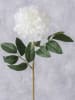Boltze Decoratieve bloem "Pfingstrose" wit/groen - (H)17 cm