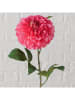 Boltze Kunstblume "Dahlie" in Pink/ Grün - (H)75 cm