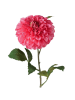 Boltze Sztuczny kwiat "Dahlia" w kolorze różowo-zielonym - wys. 75 cm