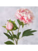 Boltze Kunstblume "Päonie" in Rosa/ Grün - (H)72 cm
