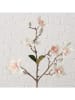Boltze Dekozweig "Magnolie" in Braun/ Weiß - (H)64 cm