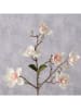 Boltze Dekozweig "Magnolie" in Braun/ Weiß - (H)64 cm