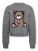 KIDS ONLY Pullover "Teddy" in Grau