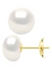 ATELIERS SAINT GERMAIN Złote kolczyki-wkrętki z perłami