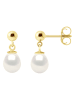 ATELIERS SAINT GERMAIN Gold-Ohrstecker mit Süßwasserzuchtperlen