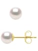ATELIERS SAINT GERMAIN Złote kolczyki-wkrętki z perłami