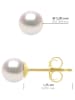 ATELIERS SAINT GERMAIN Złote kolczyki-wkrętki z perłami