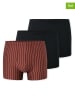 Schiesser 3er-Set: Boxershorts in Rot/ Schwarz