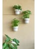 Vigar 3-delige set: wandbloempotten groen/wit - (H)16 x Ø 14 cm