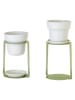 Vigar 2er-Set: Pflanzregale "Urban garden" in Grün - (B)15,5 x (H)23 x (T)13,5 cm
