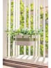 Vigar Pflanzregal "Urban garden" in Grün - (B)38 x (H)36 x (T)19 cm
