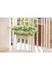 Vigar Pflanzregal "Urban garden" in Grün - (B)38 x (H)36 x (T)19 cm