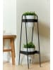 Vigar Pflanzregal "Urban garden" in Schwarz - (B)20 x (H)75 x (T)30 cm