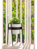 Vigar Pflanzregal "Urban garden" in Schwarz - (B)20,5 x (H)36 x (T)19 cm