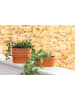 Vigar 4er-Set: Blumentöpfe "Urban garden" in Terrakota - (B)17 x (H)8,5 x (T)8 cm 