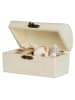SUNNYSUE Holzkiste "Piratenschatz" - (L)12 x (B)6,5 x (H)7 cm - ab 3 Jahren