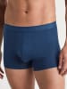 Calida Boxershorts in Dunkelblau