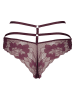 JETTE Slip bordeaux