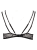 LASCANA Push-up-BH in Schwarz