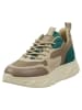 Steve Madden Sneakers in Beige/ Grün