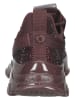 Steve Madden Sneakers bordeaux
