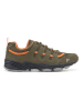 Freyling Sneakers in Khaki/ Orange