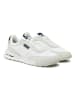 Tommy Hilfiger Shoes Leder-Sneakers in Weiß/ Creme