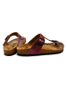 Calceo Teenslippers bordeaux