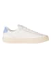 Tommy Hilfiger Shoes Skórzane sneakersy w kolorze kremowo-błękitnym