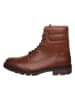 Tommy Hilfiger Shoes Boots in Braun